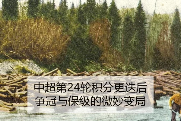 zhong-chao-di-lun-ji-fen-geng-die-hou-zheng-guan-yu-bao-ji-de-wei-miao-bian-ju-2-803.jpg